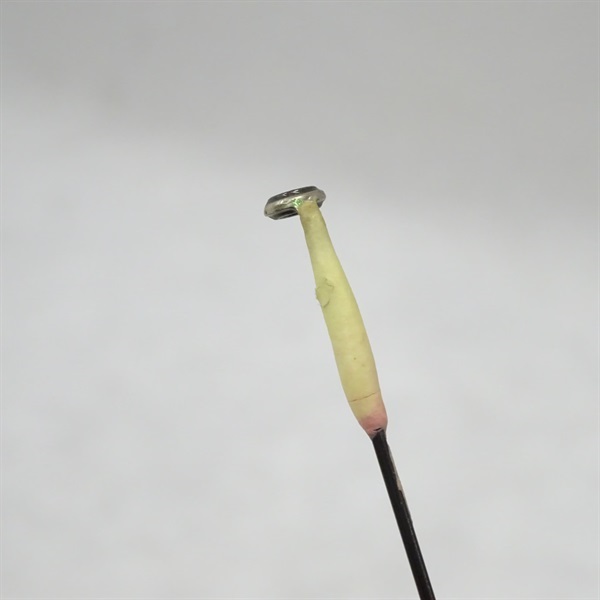 １６ソアレＢＢアジングＳ７０４ＬＳ